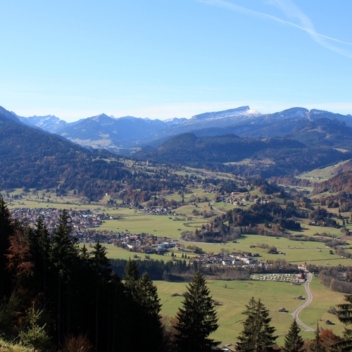 43 Im Oktober 2011 im Allgäu